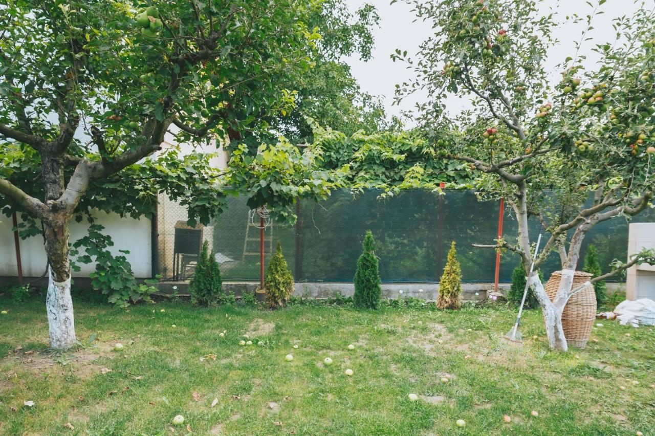 Casa Vinco Vici Hotel Turda Bagian luar foto